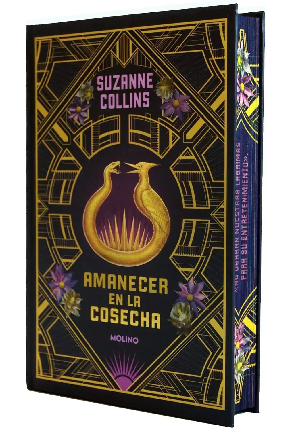 EdiciÃ³n especial de Amanecer en la cosecha